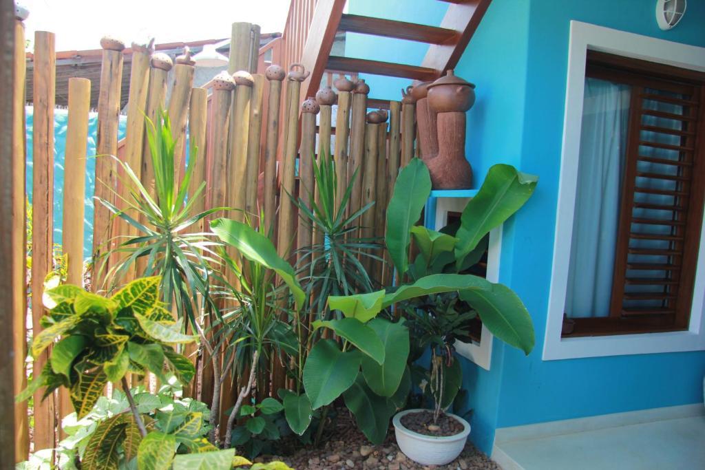 Villa Casa Azul Praia de Pipa Exterior foto